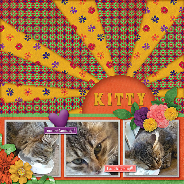 Kitty