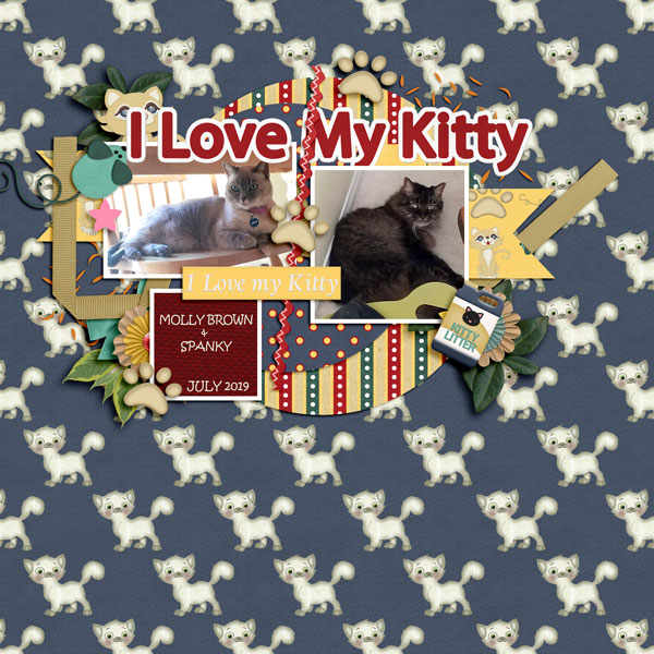 Kitty