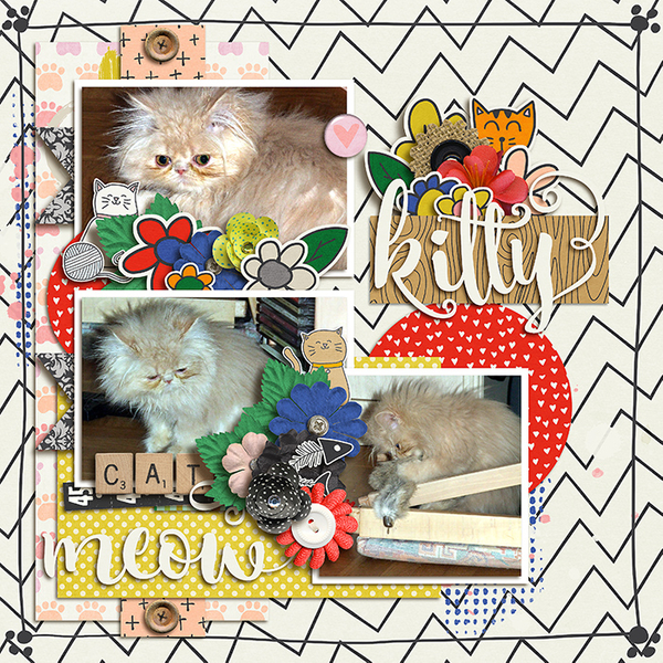 Kitty