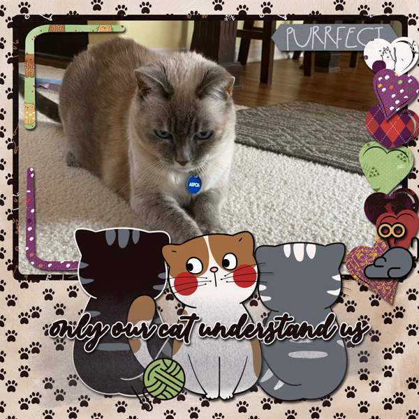 Kitty