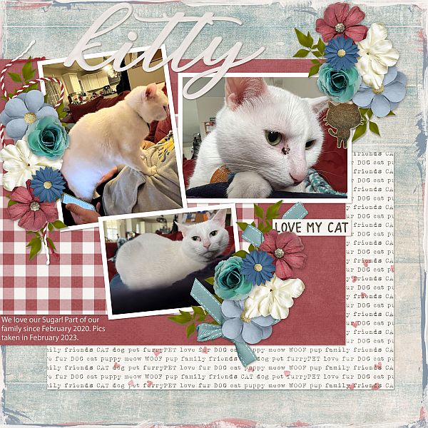 Kitty