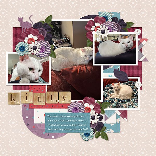 Kitty