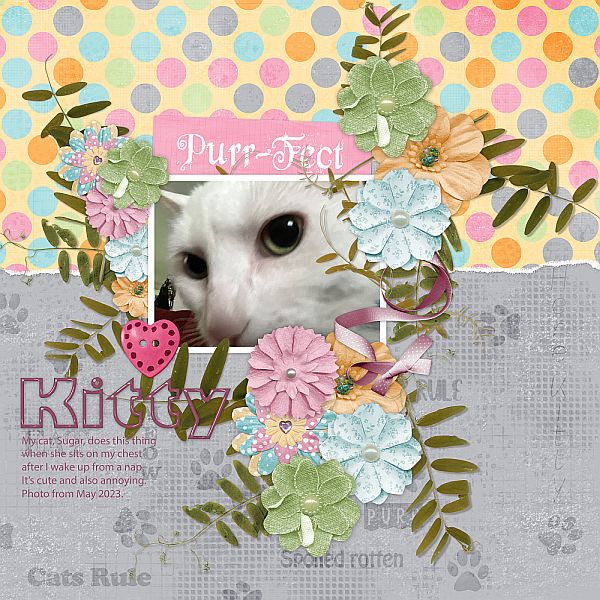 Kitty