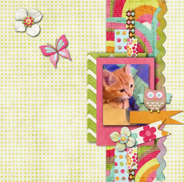 kitty2