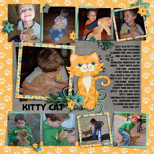 kitty3