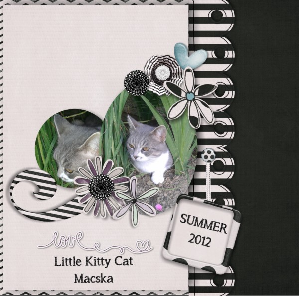 kitty_cat