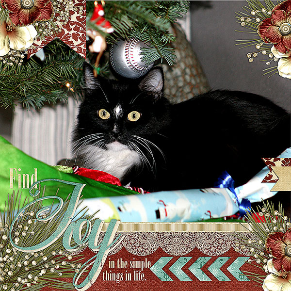 Kitty_Tree_2014