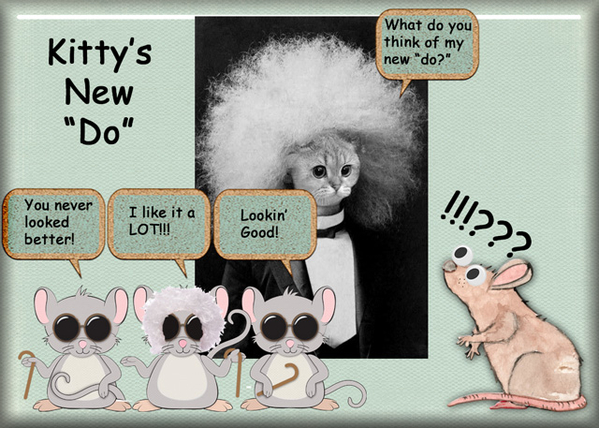 Kitty's New "Do"