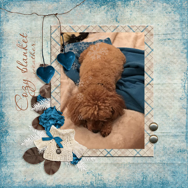 Kiva- cozy blanket