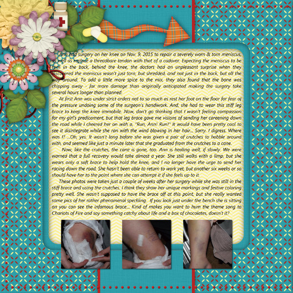 Knee Surgery pg 1