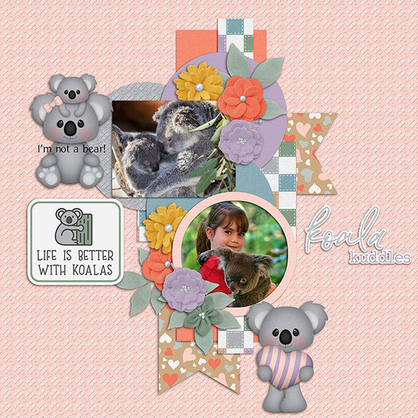 Koala Cuddles