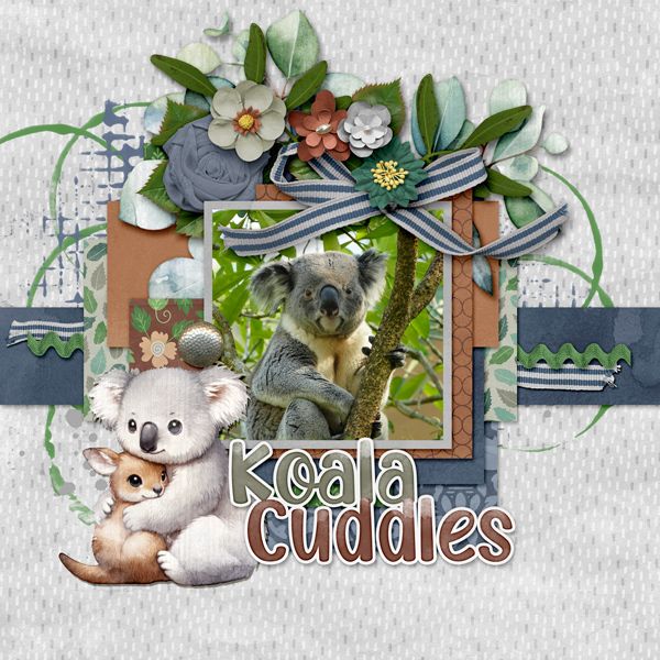 Koala Cuddles