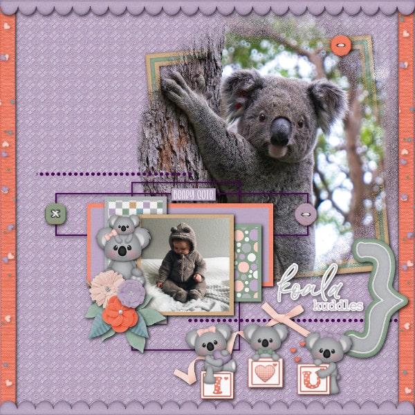 Koala Kuddles