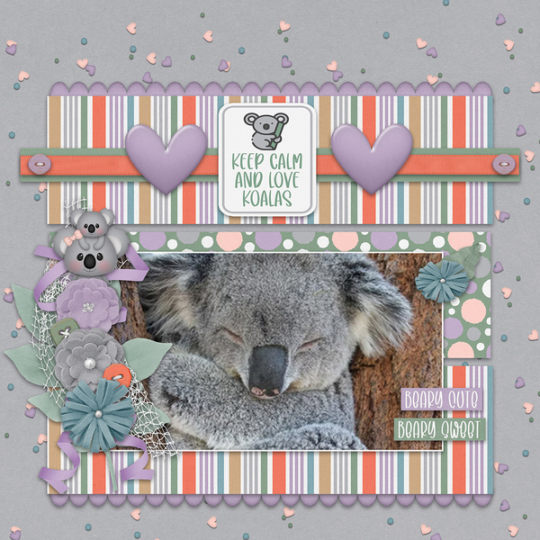 KOALA KUDDLES