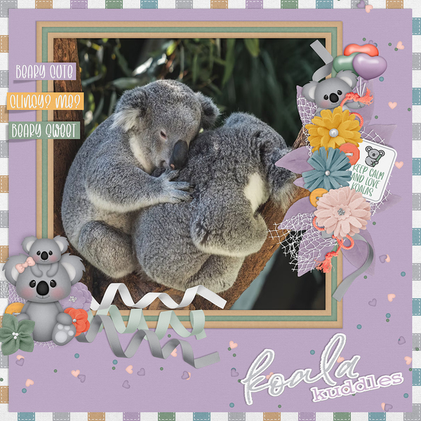 KOALA KUDDLES