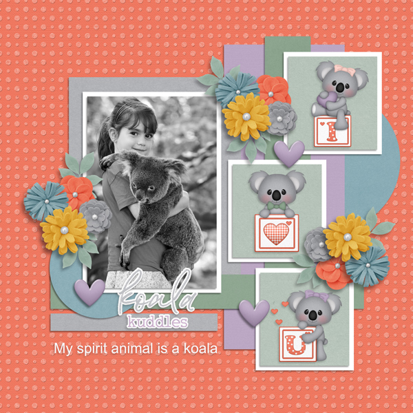 Koala Kuddles