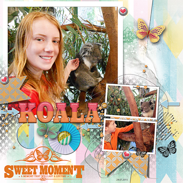 Koala Love