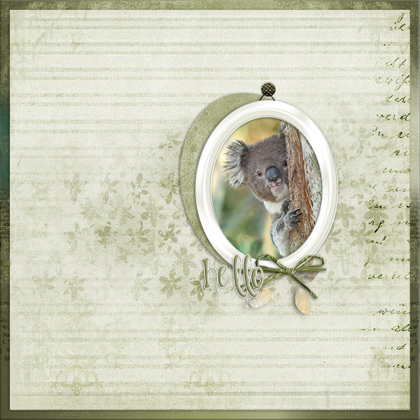 Koala