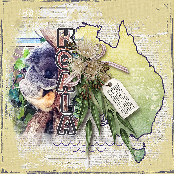 Koala