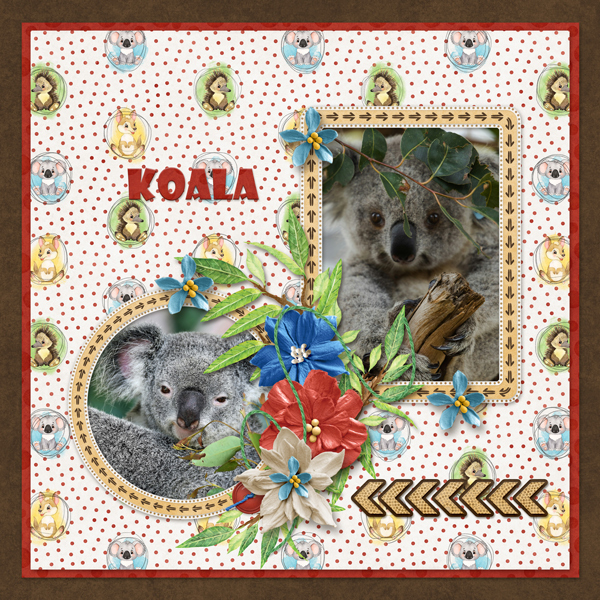 koala