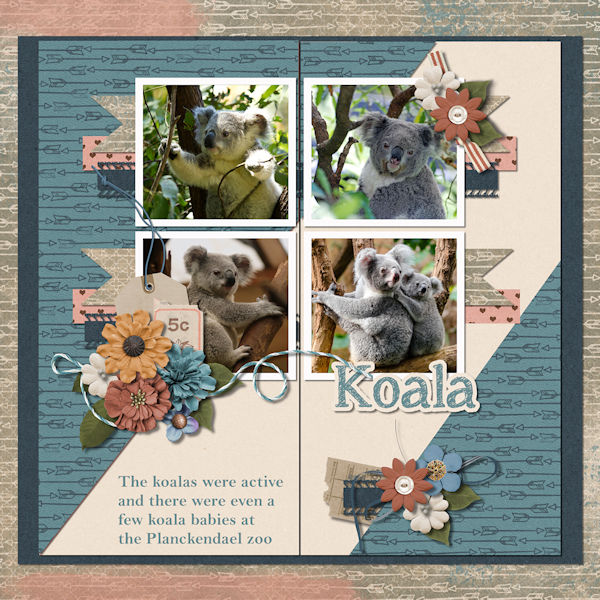 Koala