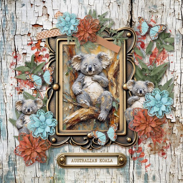 koala