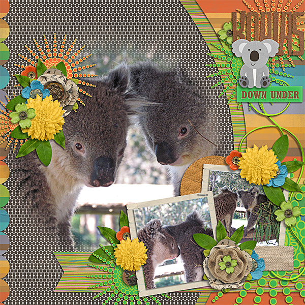 Koalas Downunder