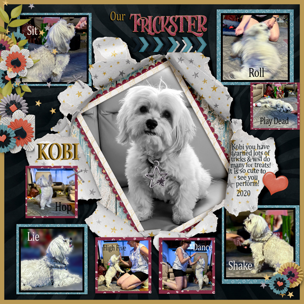 Kobi - The Trickster