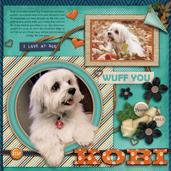 Kobi - week 4 Survivor Layout
