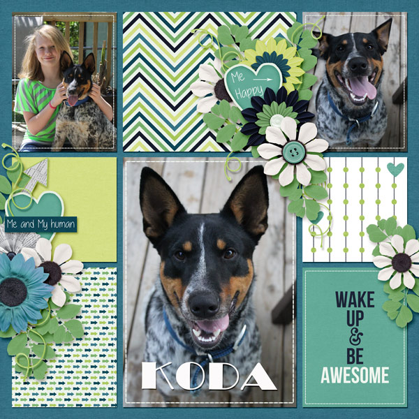 Koda - Me happy