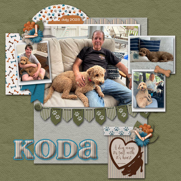 Koda