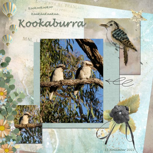 KooKooKooKoo KaaKaaKaaKaa Kookaburra