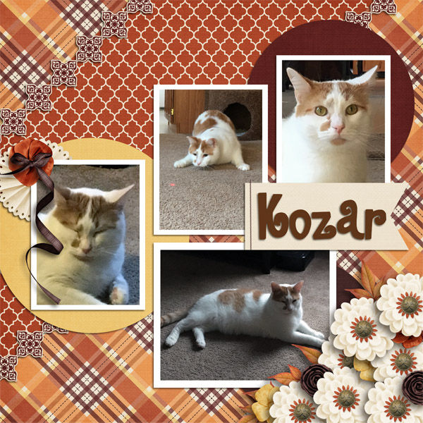 Kozar