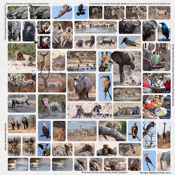 Kruger park 2014