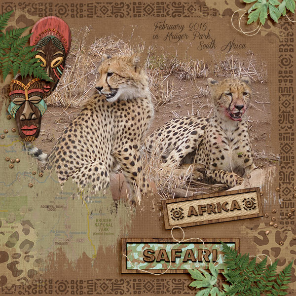 Kruger Park