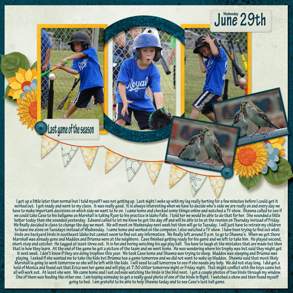 KW_Summersunflowers_LO2