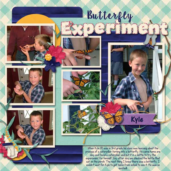 Kyle Butterfly Experiment