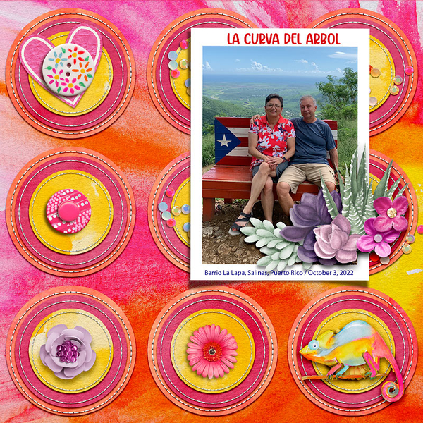 La Curva del Arbol