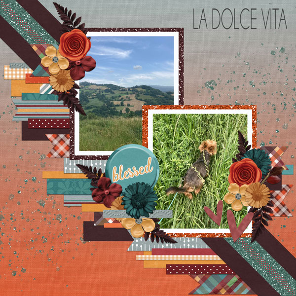 La Dolce Vita | Vetto