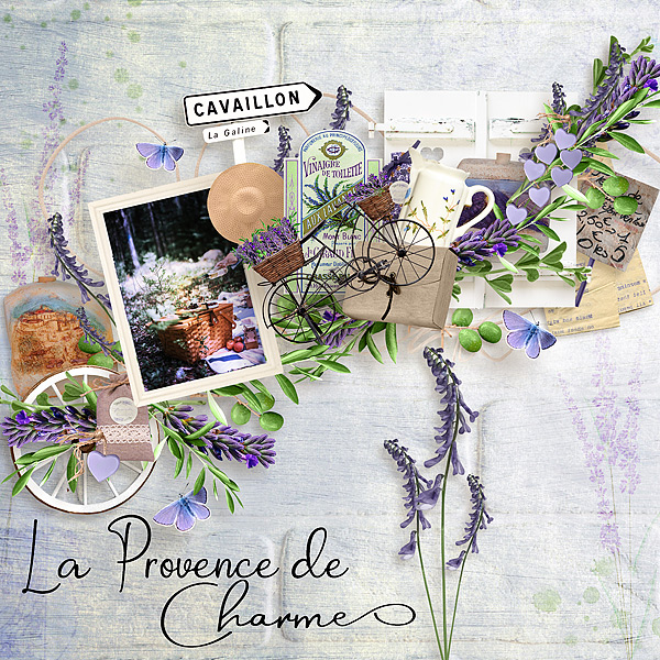 La Provence de Charmes