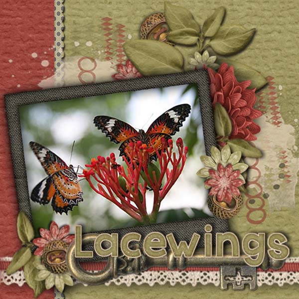Lacewings