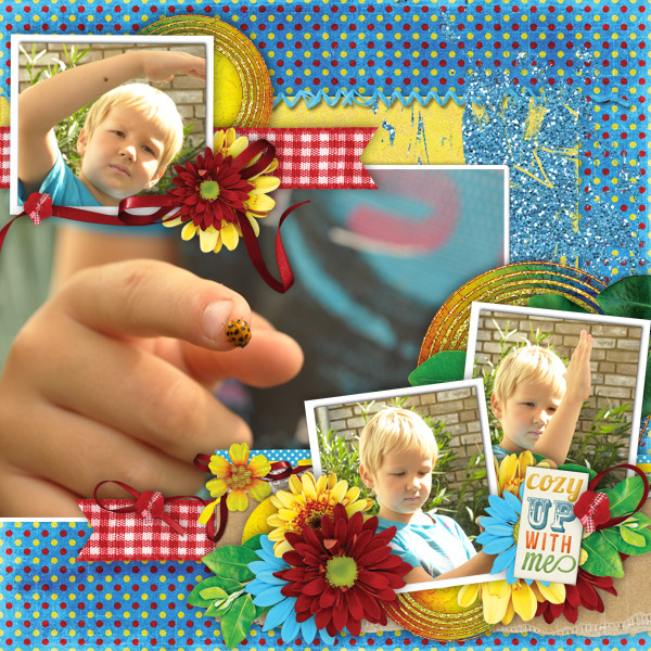 Lady Bug