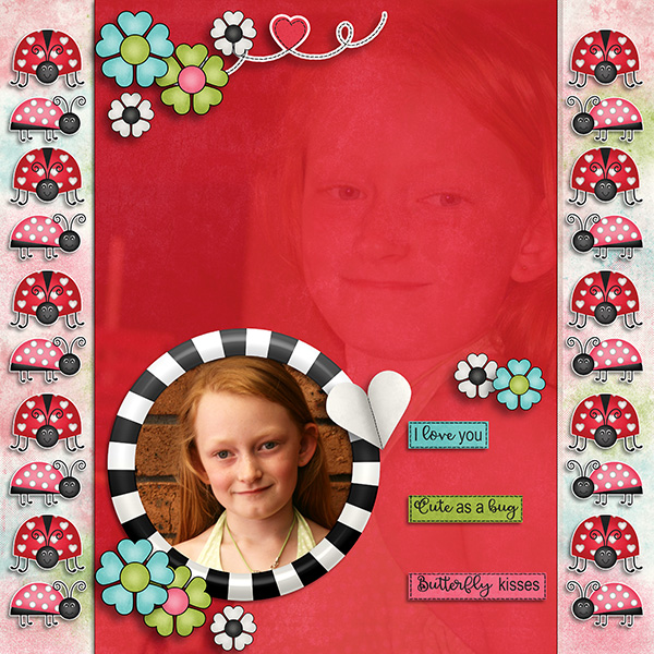 Lady Bug