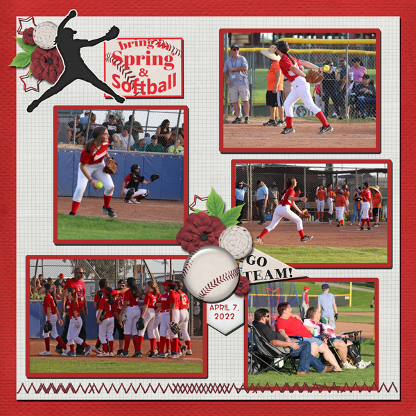 Lady Cardinals