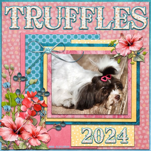Lady Truffles Godiva 2024