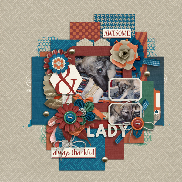 Lady