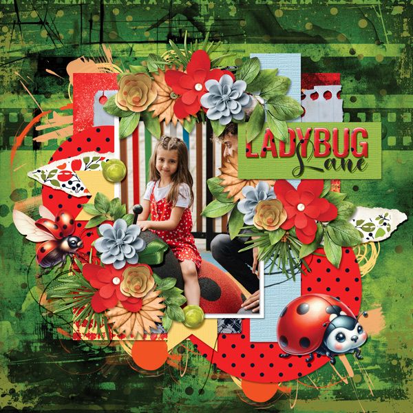 Ladybug Lane