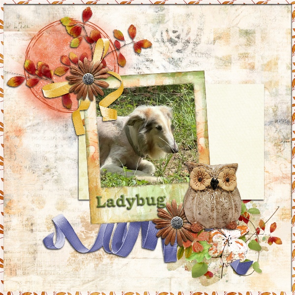 Ladybug UIA 10