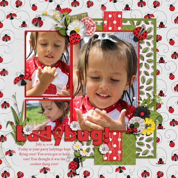 Ladybug