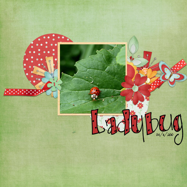 Ladybug